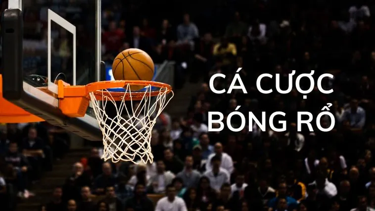 Khám Phá Bóng Rổ B29: Bạn Sẵn Sàng Trở Thành Cao Thủ Chưa? 2 Khám Phá Bóng Rổ B29: Bạn Sẵn Sàng Trở Thành Cao Thủ Chưa?